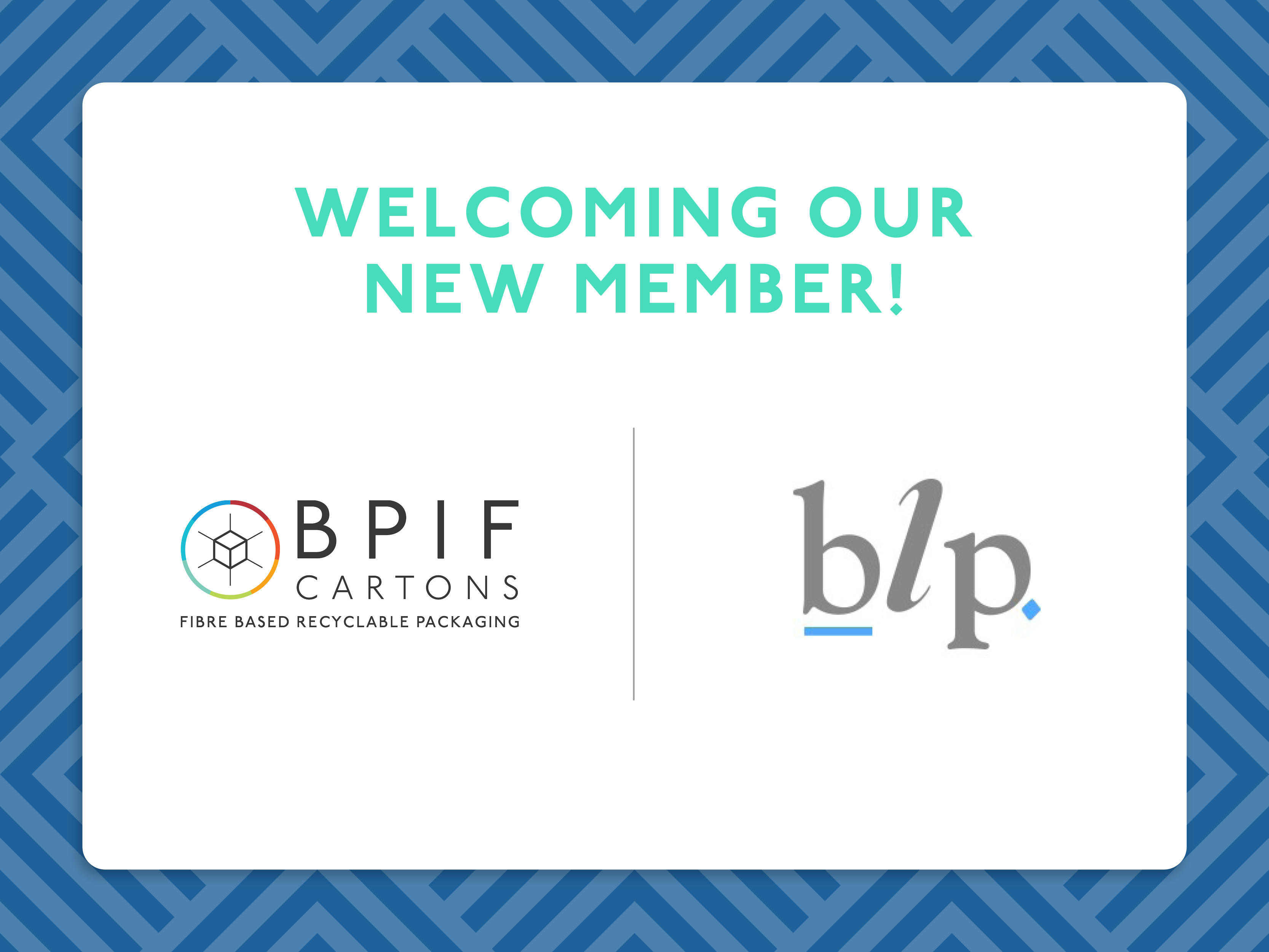 New Member - Blp (Northern) Ltd