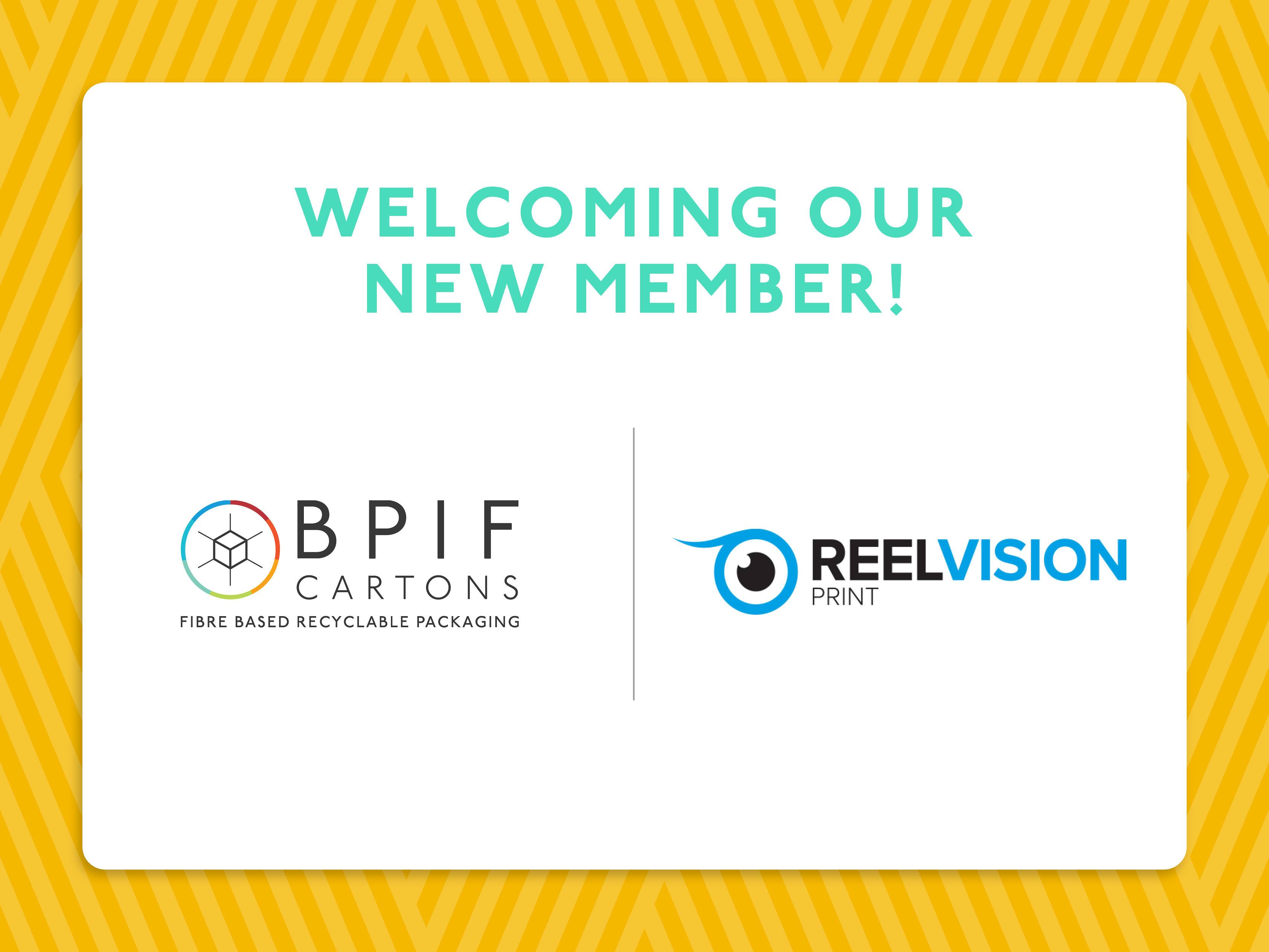 NEW MEMBER - REELVISION PRINT
