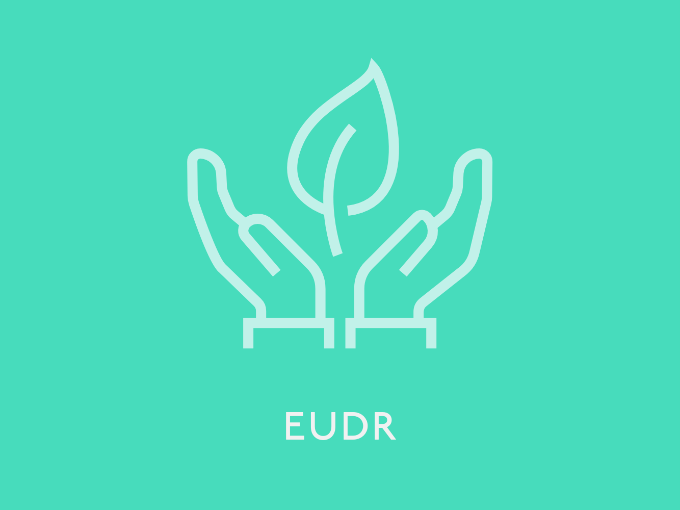 EUDR UPDATE